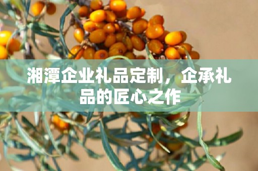 湘潭企业礼品定制，企承礼品的匠心之作